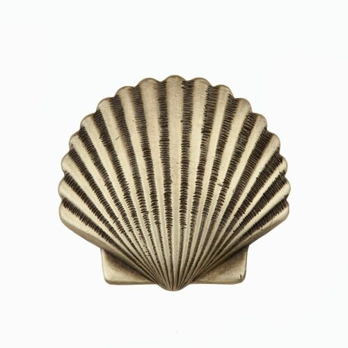 Acorn DPAAP Antique Brass Small Scallop Cabinet Knob