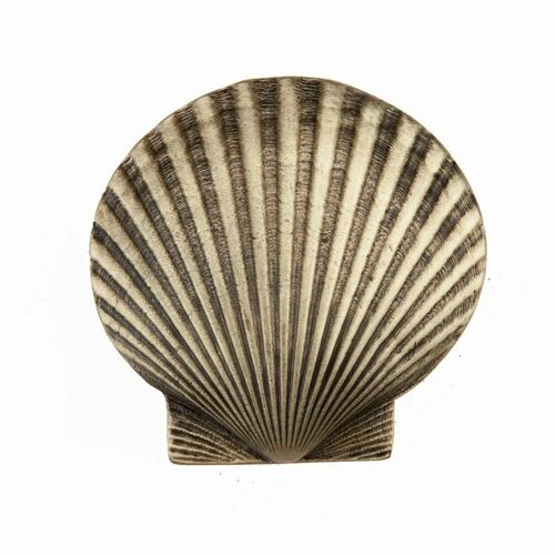Acorn DPGAP Antique Brass Large Scallop Cabinet Knob