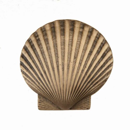 Acorn DPGGP Museum Gold Large Scallop Cabinet Knob