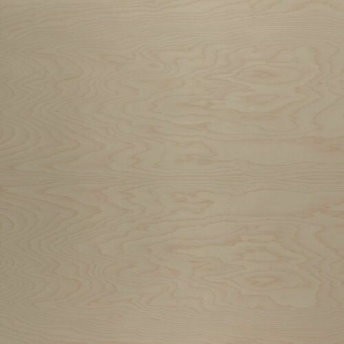 Doellken BIWSN38RB4T 4'x8' 2-Ply White Birch Veneer Sheet