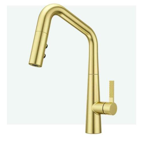 Pfister GT529-ASRBG Brushed Gold Single Handle Pull Down Kitchen Faucet