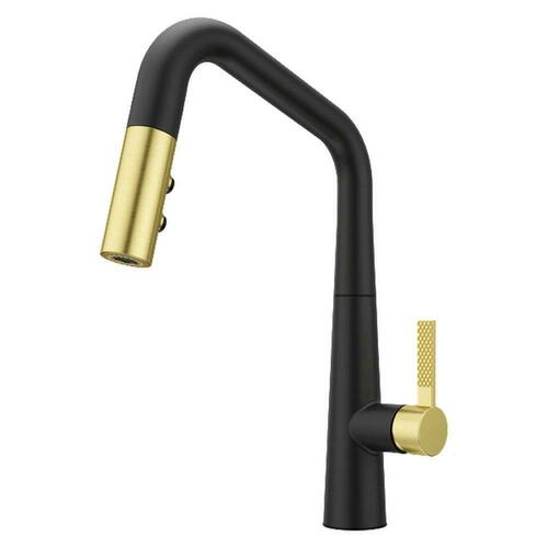 Pfister GT529-ASRBBG Matte Black/Brushed Gold Single Handle Pull Down Kitchen Faucet