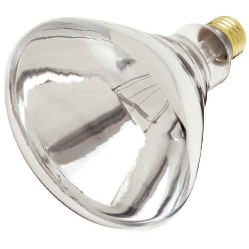 Satco S4999 250W R40 Dimmable Incandescent Light Bulb, Medium E-26 Base, Clear