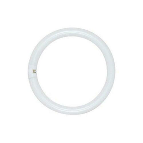 Satco S6507 9