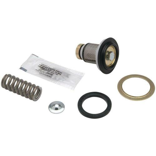 Zurn RK114-NR3XL 1-1/4 in. Brass, Chrome, Iron, Rubber and Stainless Steel Valve Repair Kit