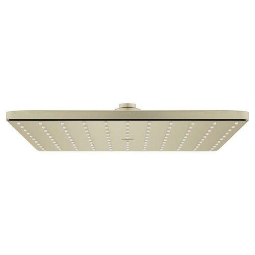Grohe 26570EN0 Brushed Nickel Single Function Showerhead