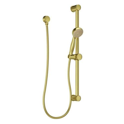 Pfister LG16-500BG Brushed Gold Multi-Function Hand Shower