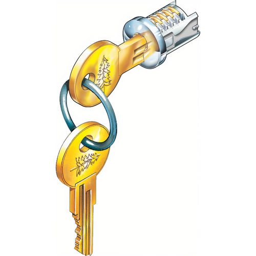 Compx C200LP-KA106T-8 Timberline Lock Plug Old English