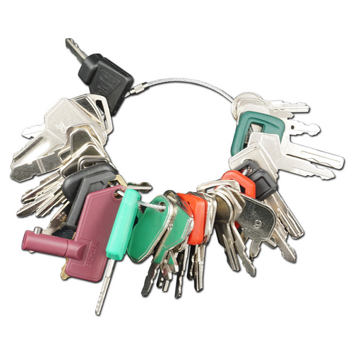 Framon BDEKS40 Blue Dog Equipment Key Set - 40 Popular Keys