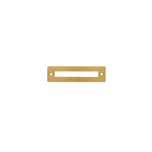 JVJ 79304 Mod Plate Satin Brass Finish 96mm Squared Back Plate, Zamac Composition