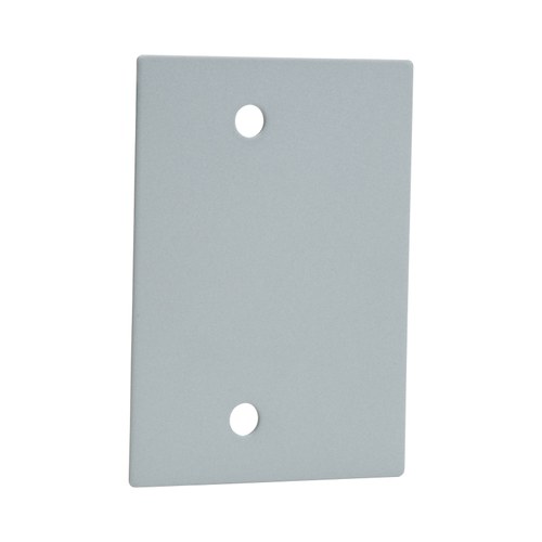 Pamex E8000/EOP-AL Cover Plate only, US26D