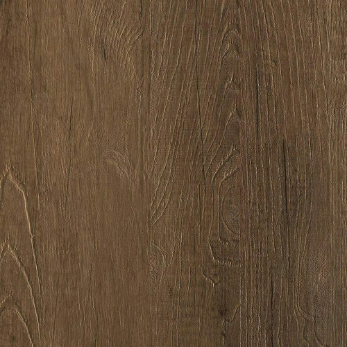 Richelieu WLR09A0123328 Nature Plus Edgebanding - Brolio Oak LR09
