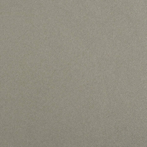 Richelieu WFB81A0123328 Nature Plus Edgebanding - Argento FB81