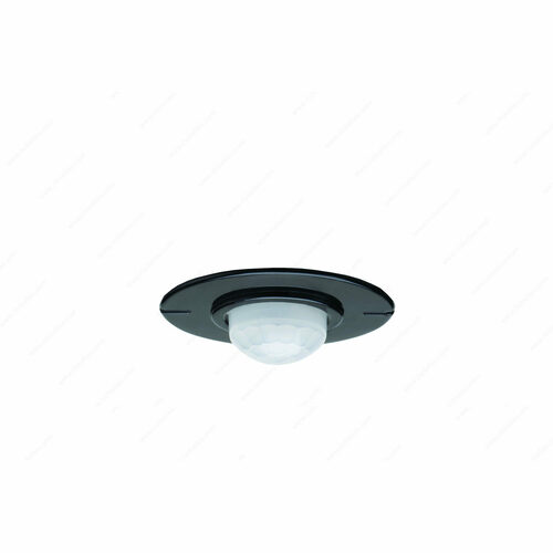 Richelieu 1650603 PIR Wireless XD Sensor