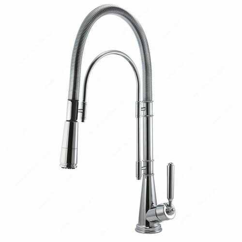 Richelieu A178140 Riveo Kitchen Faucet