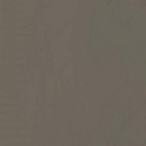 Richelieu M2300107 Fil-Stik Putty Sticks