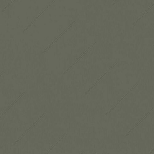 Richelieu M23011458 Fil-Stik Putty Sticks