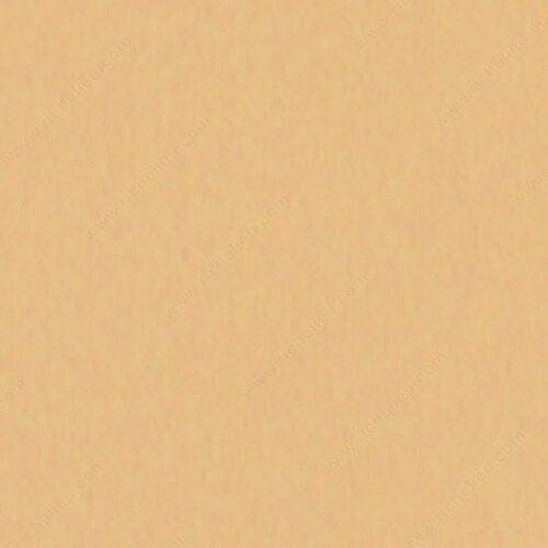 Richelieu M2308359 Fil-Stik Putty Sticks