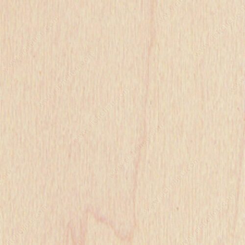 Richelieu M5454126 Wood Stain Wipes