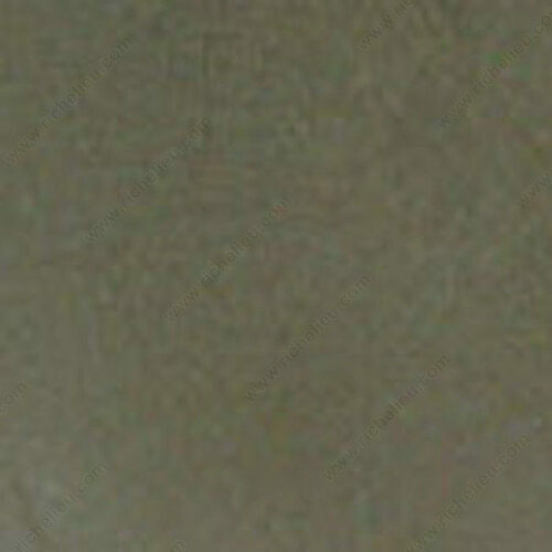 Richelieu M7422005 Fil-O-Wood Repair Putty