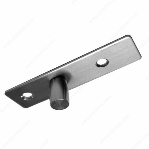 Richelieu SSGWPFPIVOT Top Mount Free Swing Pivot