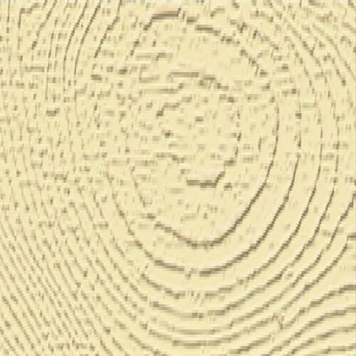 Richelieu WP36041102 Premium Wood Filler