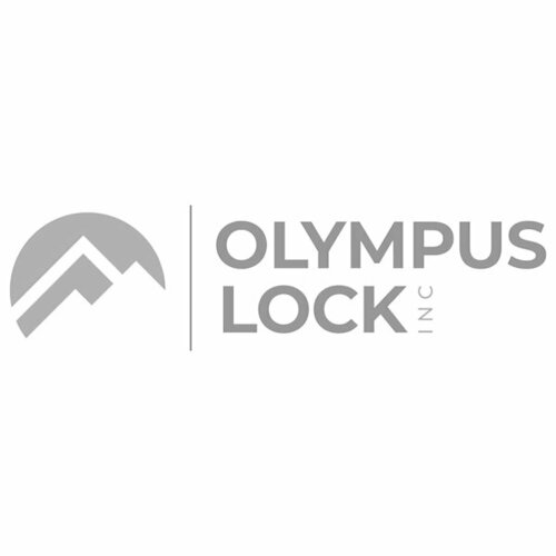 Olympus Lock CL-MP-118 Double-D Metal Punch Tool
