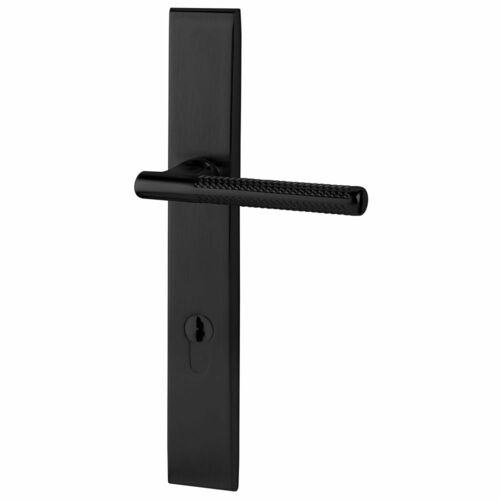 Baldwin MP013190ACT4 Lakeshore Multi-Point Keyed Entry Trim with Turn Knob, Satin Black Finish